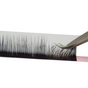 NOVINKA! BLOOMING mihalnice, tvar D 0,06 x mix4 dĺžok na jednom prúžku